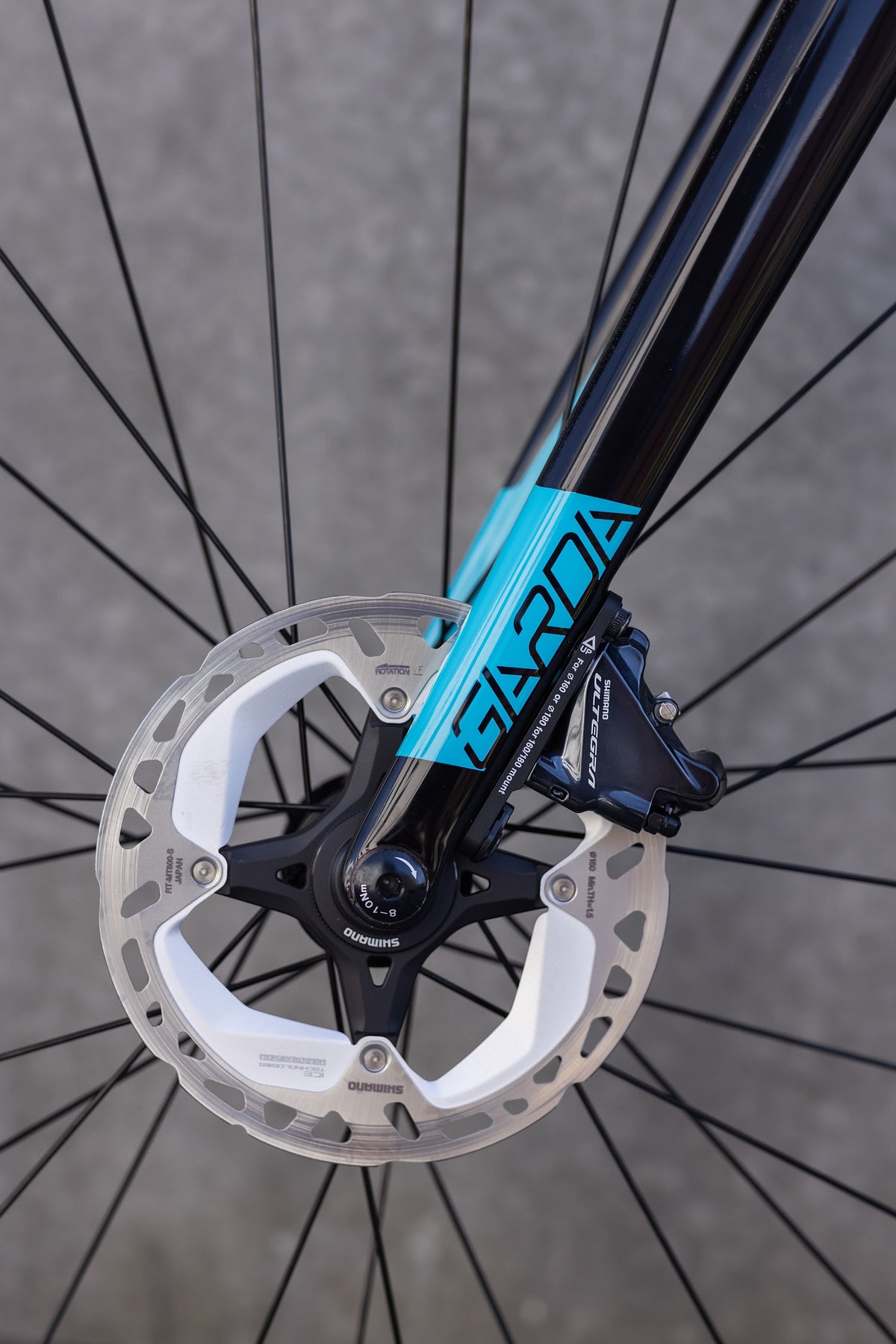 Wilier Garda Ultegra / Astana