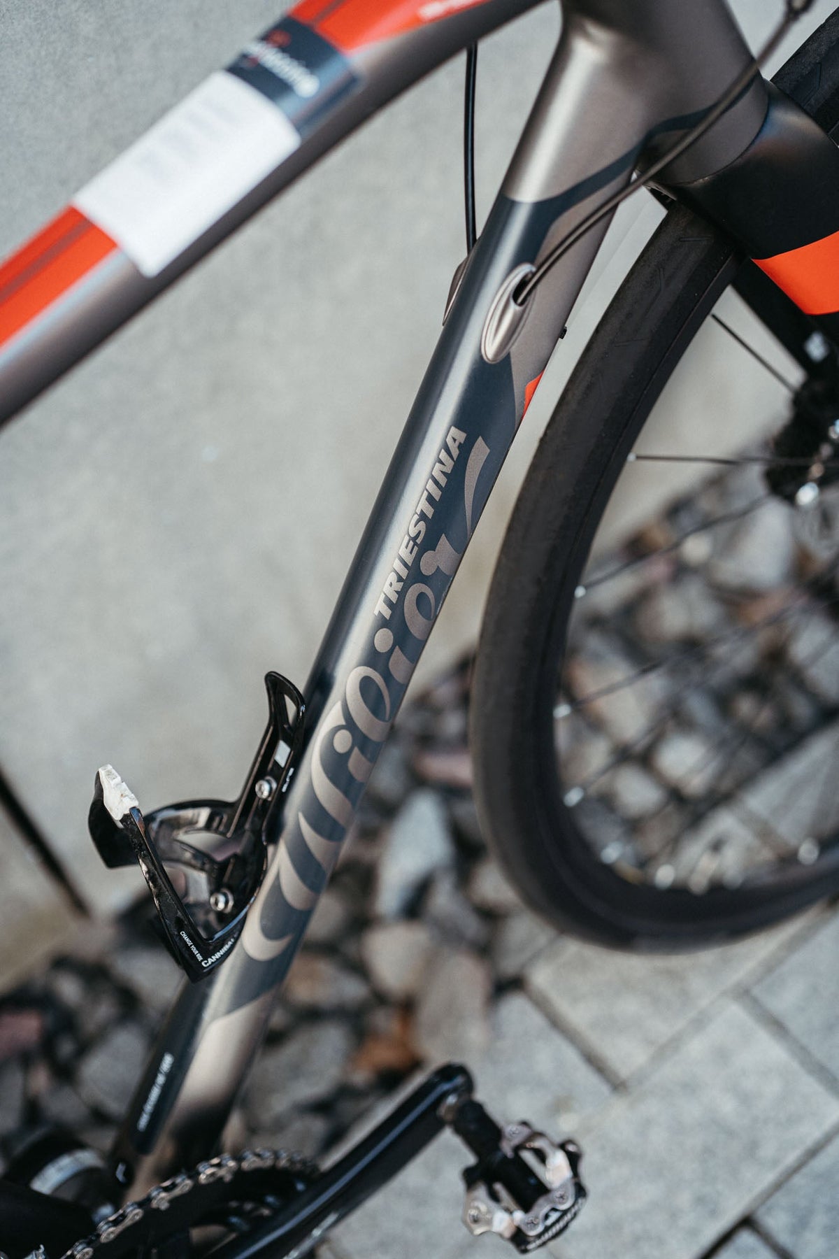 Wilier Montegrappa 105 / Grey Red
